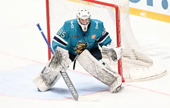 Вратарь Брызгалов перешел в «Амур» из «Сочи»