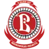 Витязь